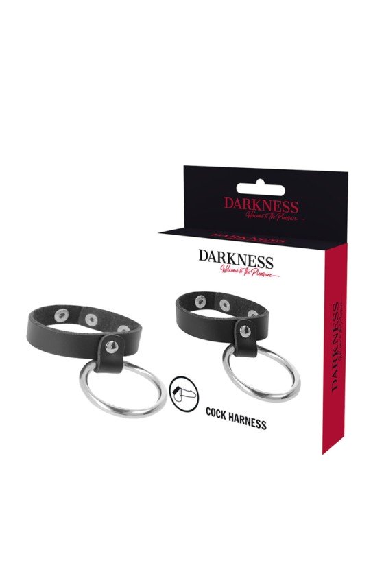 DARKNESS - ANILLO DE METAL PARA EL PENE Y TESTICULOS