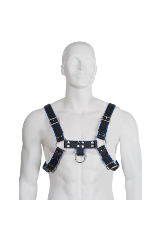 LEATHER BODY - BRUST BULLDOG HARNESS SCHWARZ / BLAU LEDER