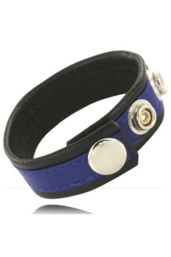 LEATHER BODY - E CINTURINO CON MOSCHETTONI - NERO E BLU