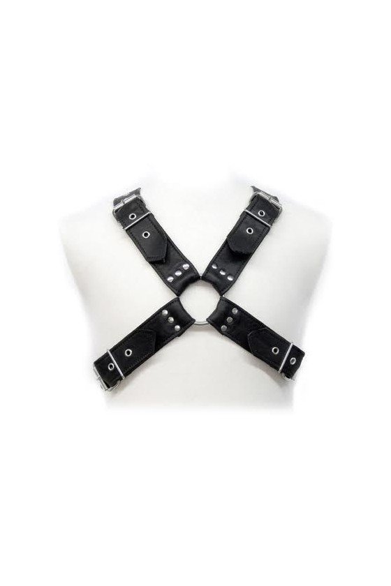 LEATHER BODY - BUCKLES HARNESS