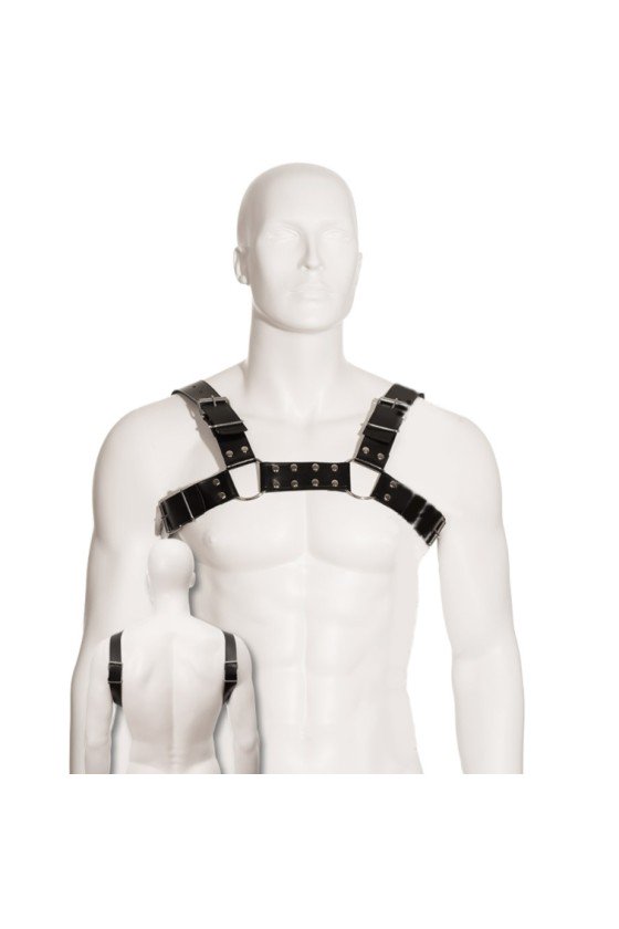 LEATHER BODY - SCHWARZ BULL DOG HARNESS