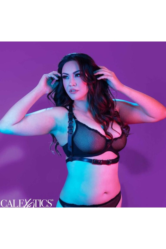 CALIFORNIA EXOTICS - EUPHORIA PLUS SIZE HALTER BUCKLE HARNESS SCHWARZ